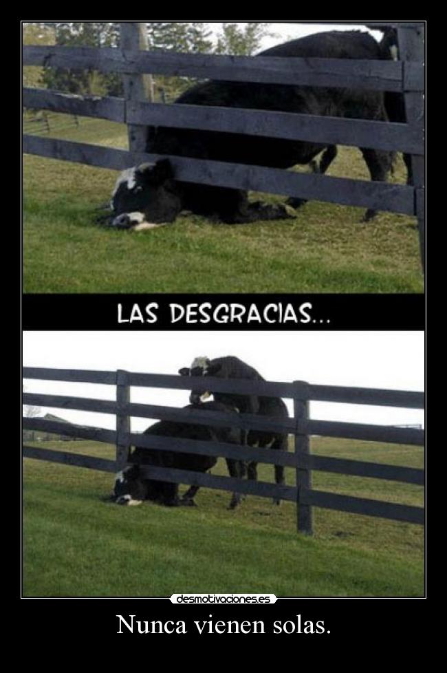 Nunca vienen solas. -