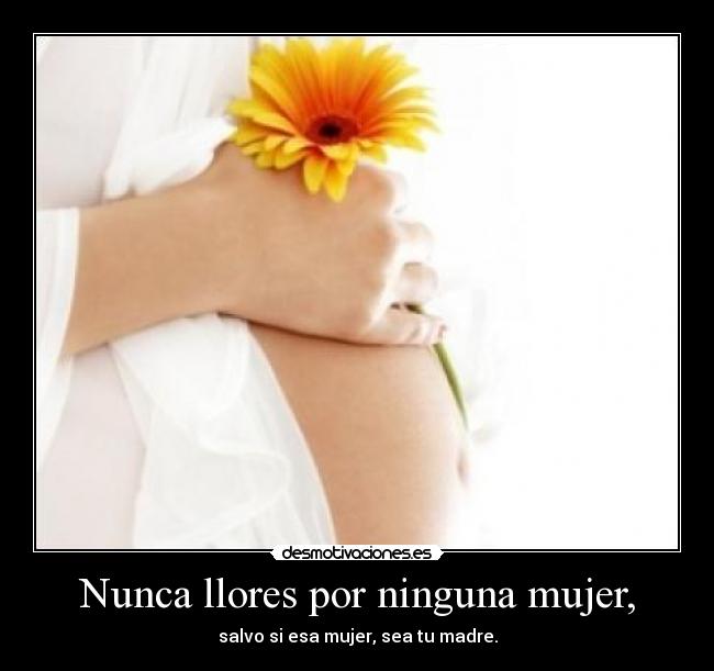 carteles mujer mujer madre desmotivaciones