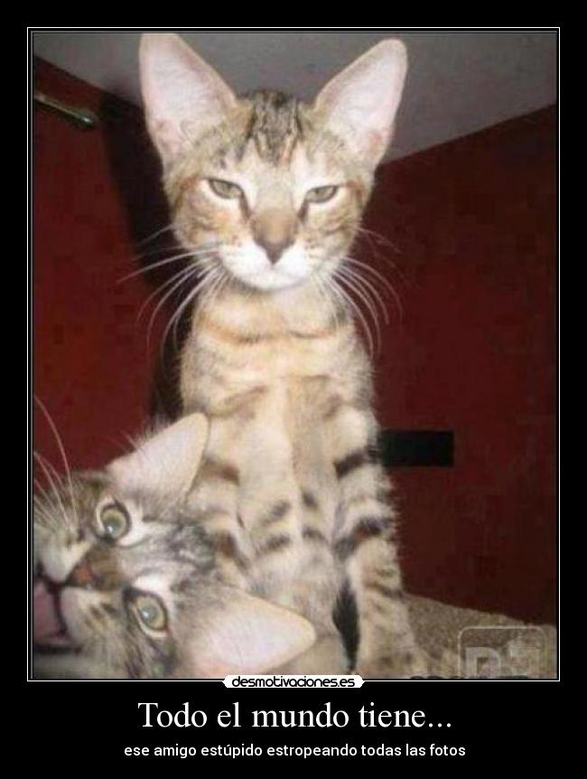 carteles mundo adonissilva desmotivaciones