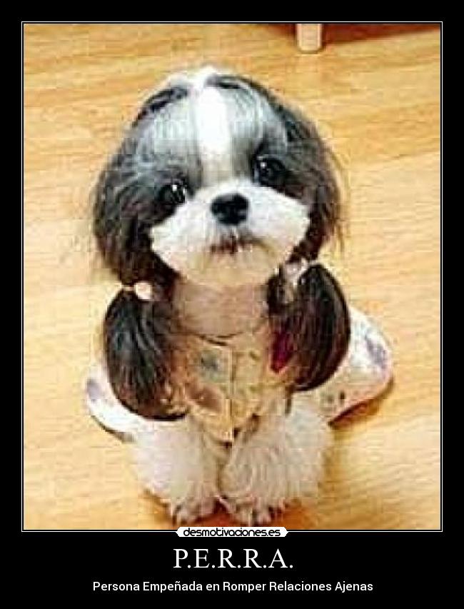 P.E.R.R.A. - Persona Empeñada en Romper Relaciones Ajenas