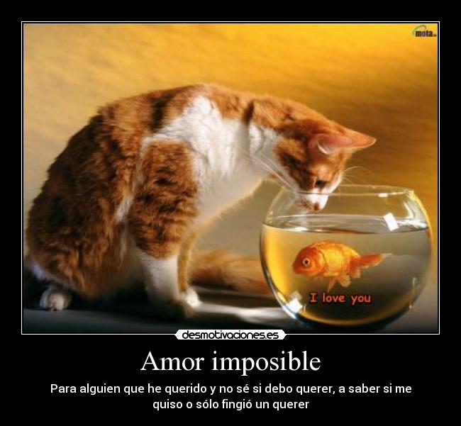 carteles amor imposible amor imposible desmotivaciones