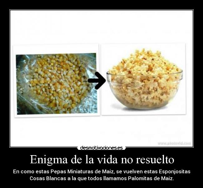 Enigma de la vida no resuelto - En como estas Pepas Miniaturas de Maiz, se vuelven estas Esponjositas
Cosas Blancas a la que todos llamamos Palomitas de Maiz.