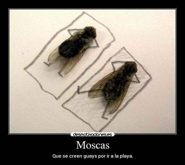 carteles moscas creidas desmotivaciones
