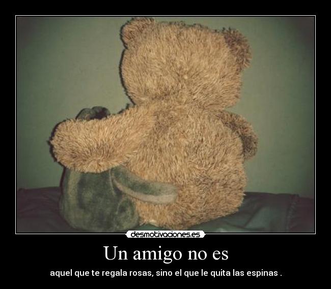 Un amigo no es -