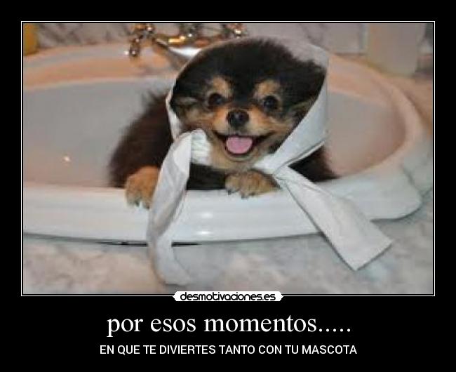 carteles los ninos del campo desmotivaciones