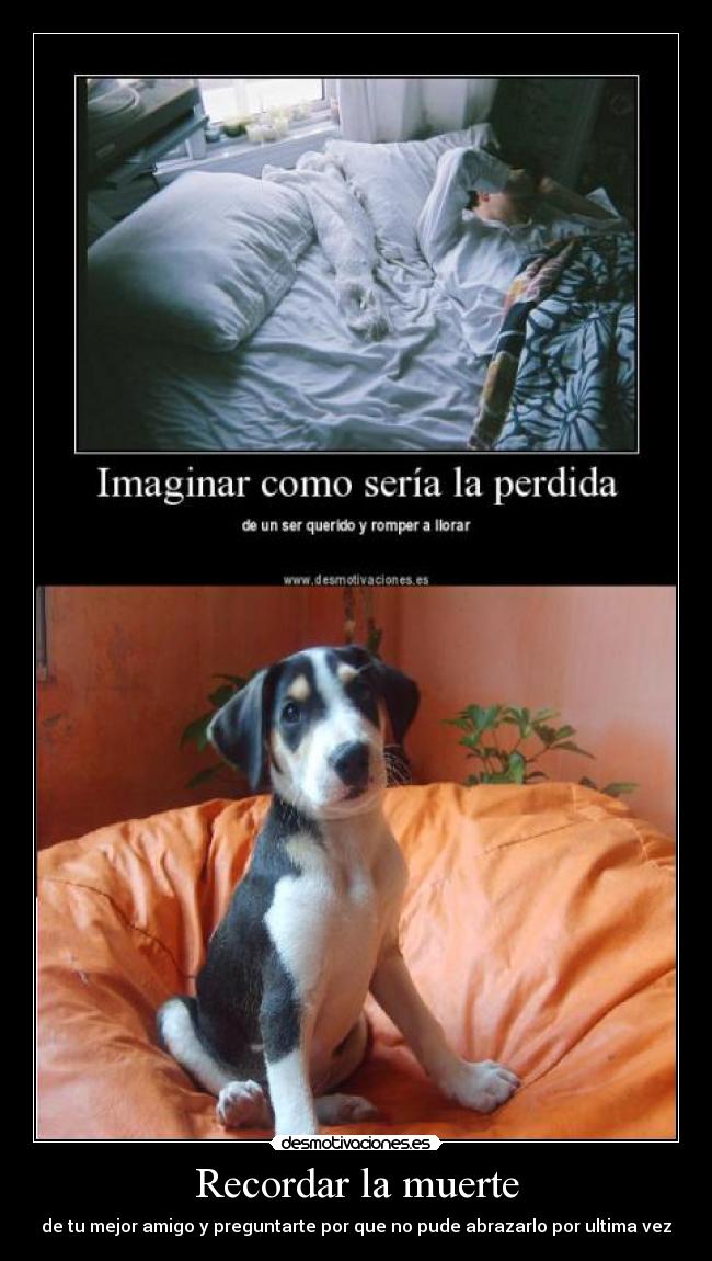 Recordar la muerte - de tu mejor amigo y preguntarte por que no pude abrazarlo por ultima vez