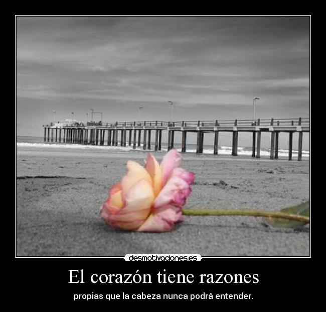 El corazón tiene razones - propias que la cabeza nunca podrá entender.