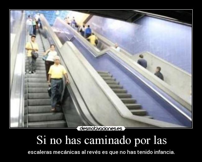 Si no has caminado por las -