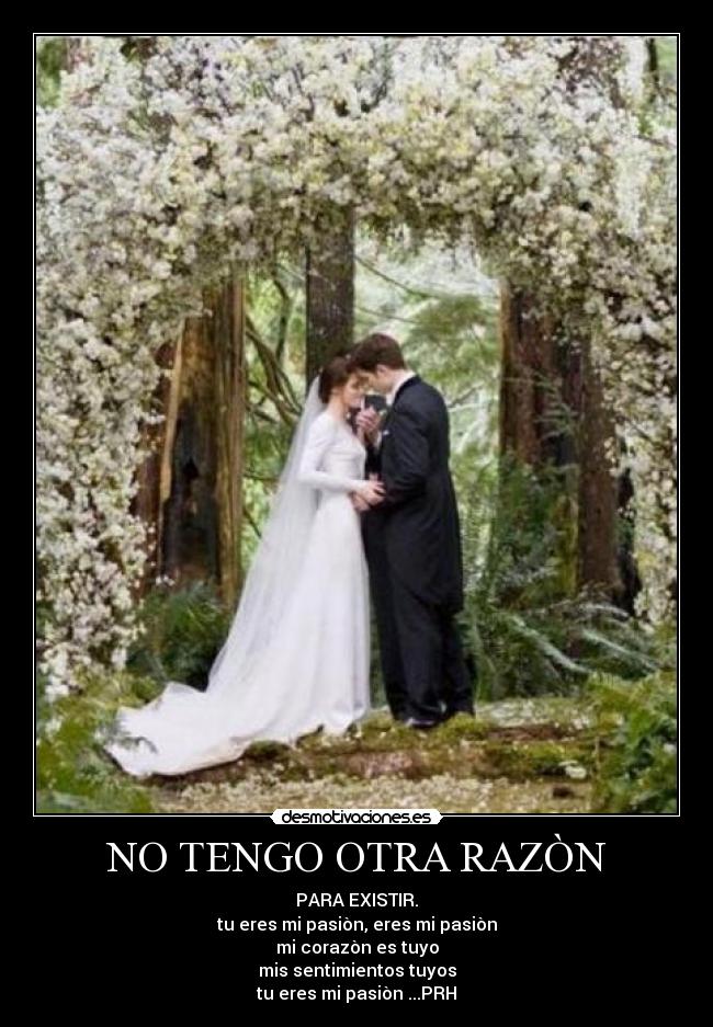 NO TENGO OTRA RAZÒN - PARA EXISTIR.
tu eres mi pasiòn, eres mi pasiòn
mi corazòn es tuyo
mis sentimientos tuyos
tu eres mi pasiòn♥...PRH♥