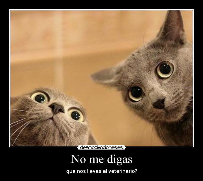 No me digas -