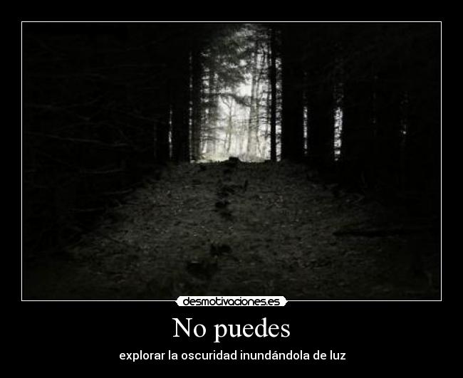 No puedes - explorar la oscuridad inundándola de luz