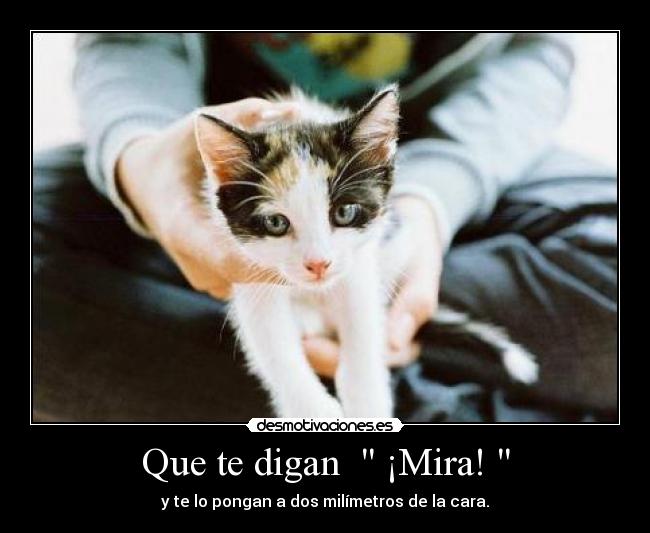 Que te digan   ¡Mira!  - y te lo pongan a dos milímetros de la cara.