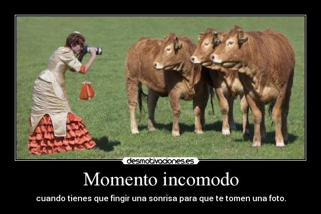 Momento incomodo - 