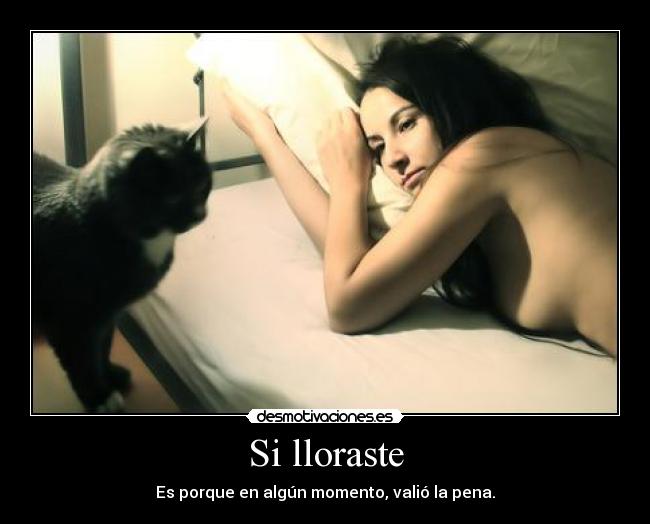 Si lloraste -