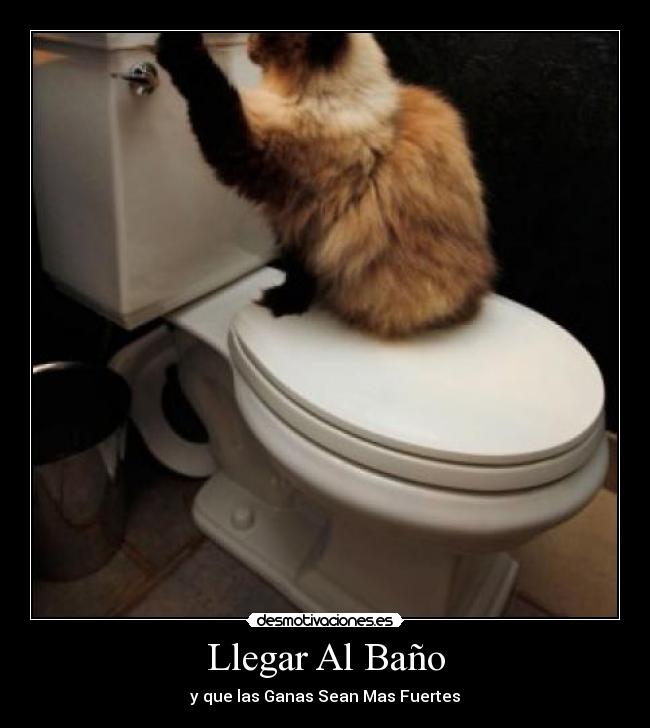 carteles llegar bano desmotivaciones