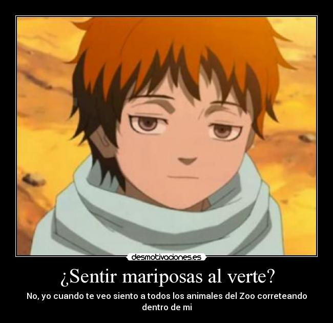 ¿Sentir mariposas al verte? - 