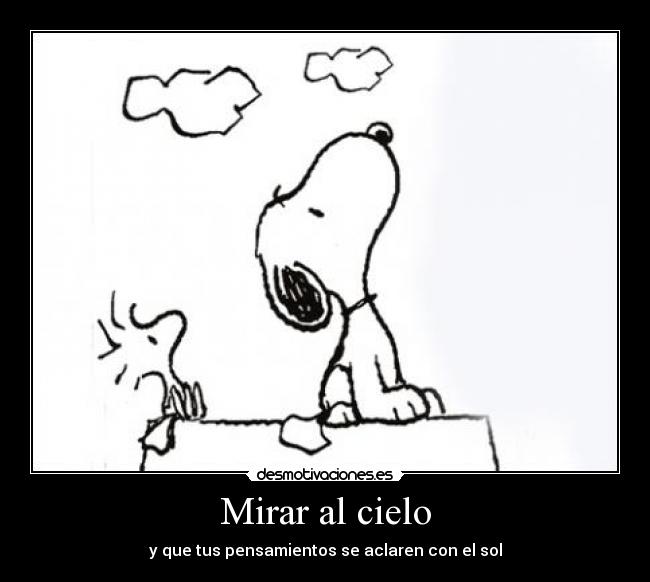 carteles sol pensar mirar cielo snupi mal escrito desmotivaciones