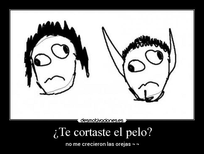 ¿Te cortaste el pelo? - no me crecieron las orejas ¬ ¬