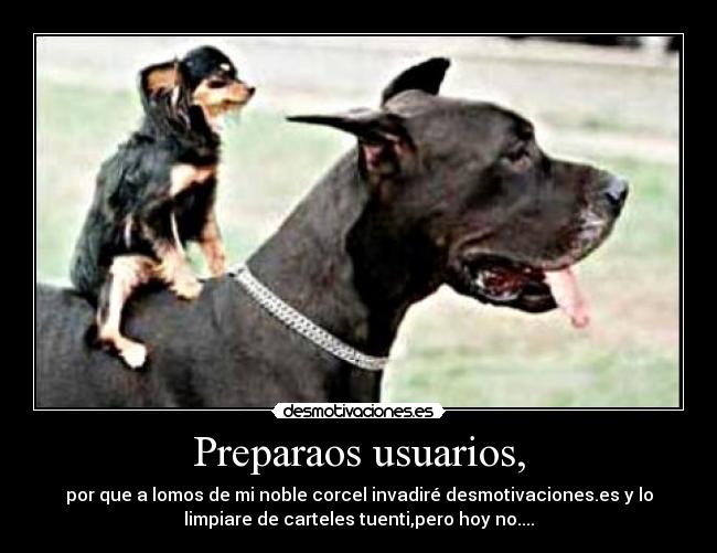Preparaos usuarios, - por que a lomos de mi noble corcel invadiré desmotivaciones.es y lo
limpiare de carteles tuenti,pero hoy no....