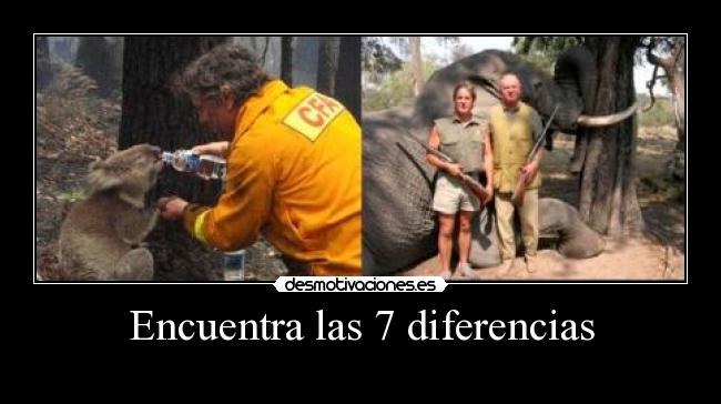 Encuentra las 7 diferencias -