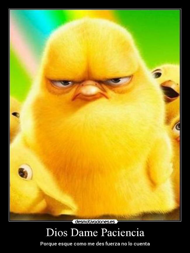 Dios Dame Paciencia - Porque esque como me des fuerza no lo cuenta