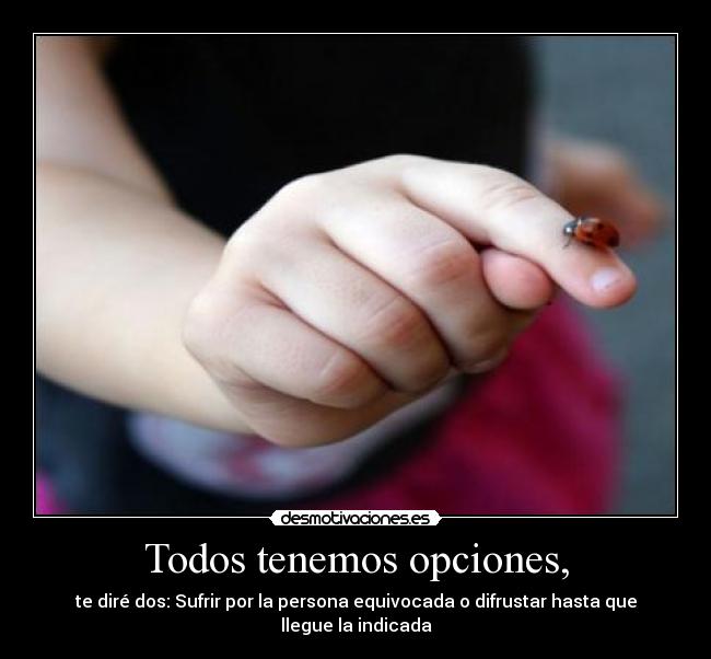 Todos tenemos opciones, - te diré dos: Sufrir por la persona equivocada o difrustar hasta que llegue la indicada