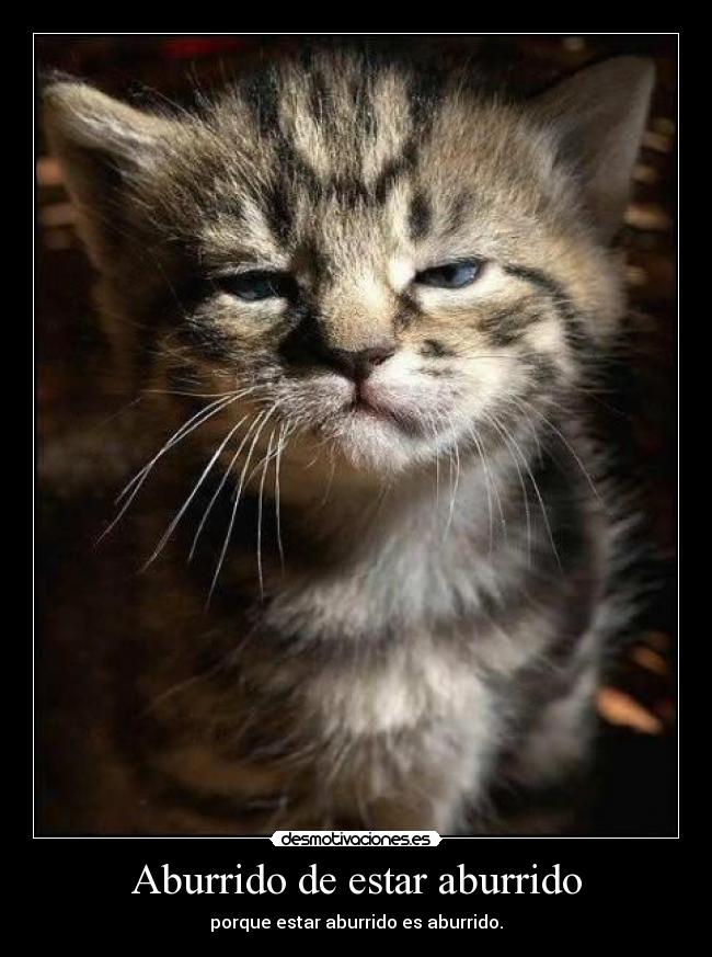 Aburrido de estar aburrido -