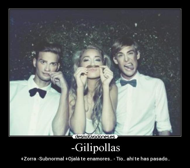 carteles nunca enamores desmotivaciones