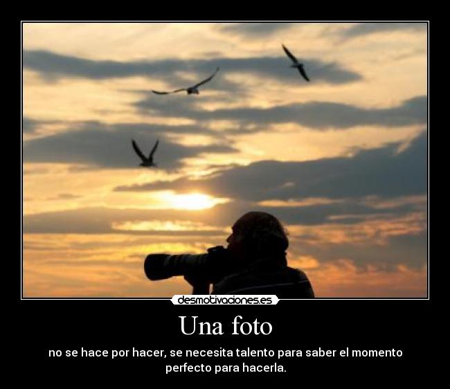 Una foto - no se hace por hacer, se necesita talento para saber el momento
perfecto para hacerla.