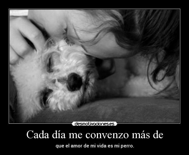 Cada día me convenzo más de - que el amor de mi vida es mi perro.