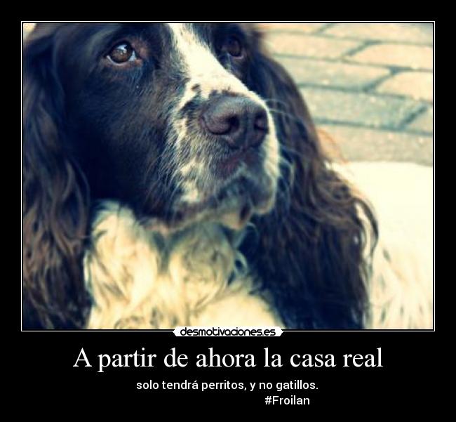 carteles casa accidente froilan con pistola desmotivaciones