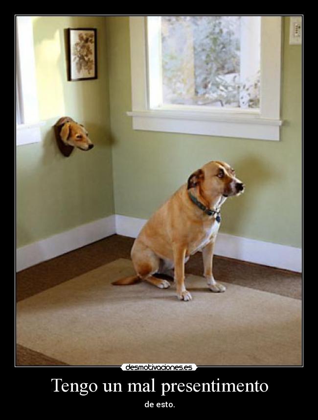 carteles perro presentimiento cabeza desmotivaciones