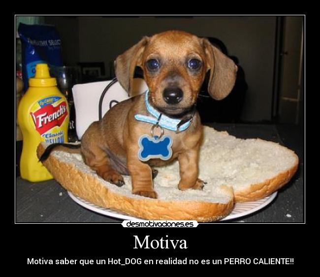 Motiva - Motiva saber que un Hot_DOG en realidad no es un PERRO CALIENTE!!