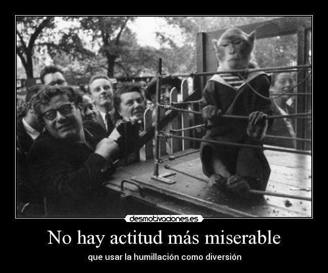 carteles maltrato animal desmotivaciones