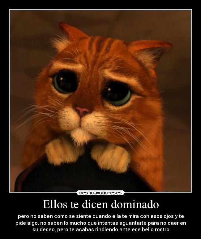 carteles dominado desmotivaciones