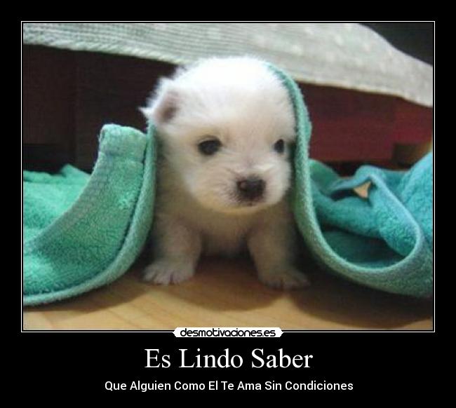 Es Lindo Saber -