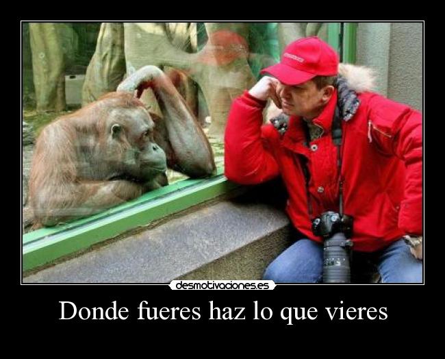 Donde fueres haz lo que vieres - 