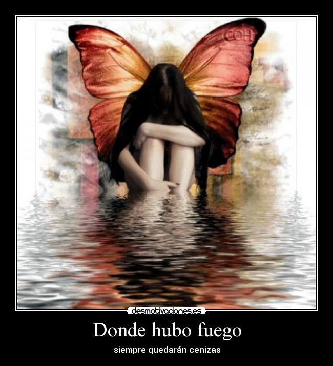 Donde hubo fuego - 