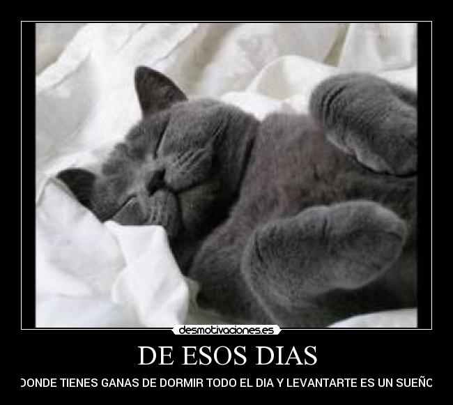 DE ESOS DIAS - DONDE TIENES GANAS DE DORMIR TODO EL DIA Y LEVANTARTE ES UN SUEÑO.