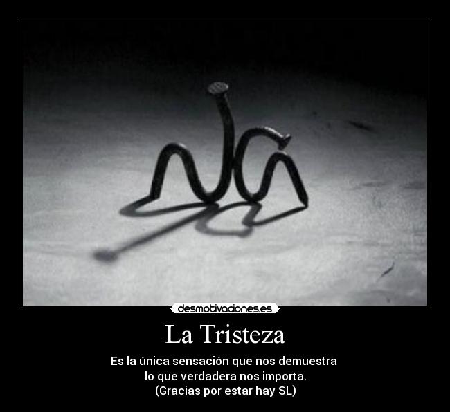 La Tristeza - Es la única sensación que nos demuestra
lo que verdadera nos importa.
(Gracias por estar hay SL)
