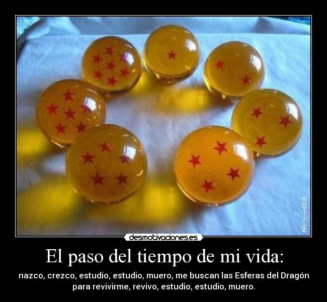 El paso del tiempo de mi vida: - nazco, crezco, estudio, estudio, muero, me buscan las Esferas del Dragón
para revivirme, revivo, estudio, estudio, muero.