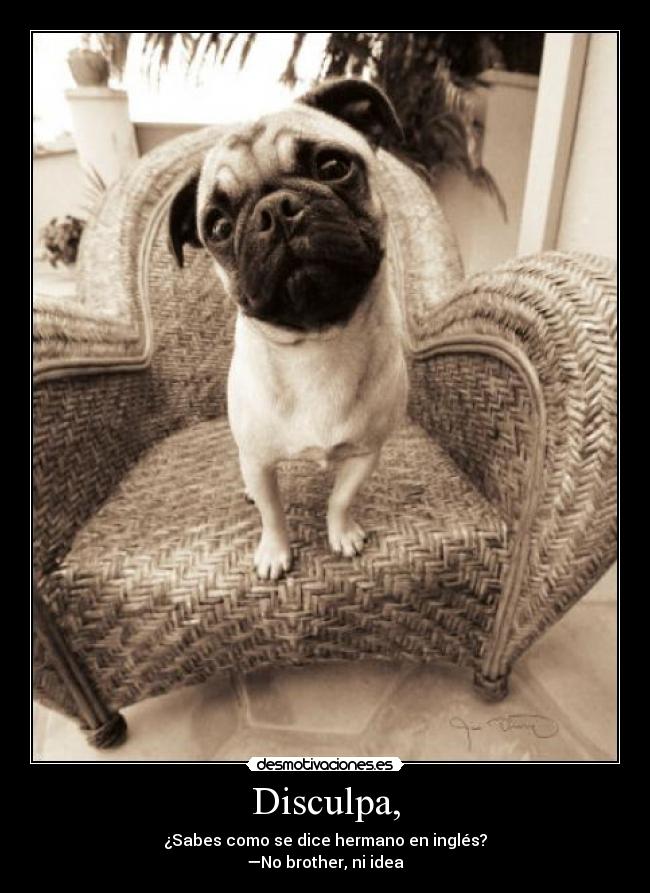 Disculpa, - ¿Sabes como se dice hermano en inglés?
—No brother, ni idea