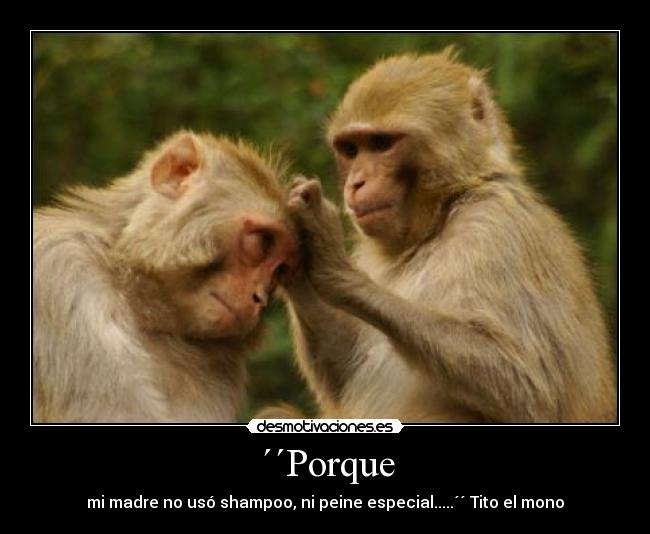 ´´Porque -