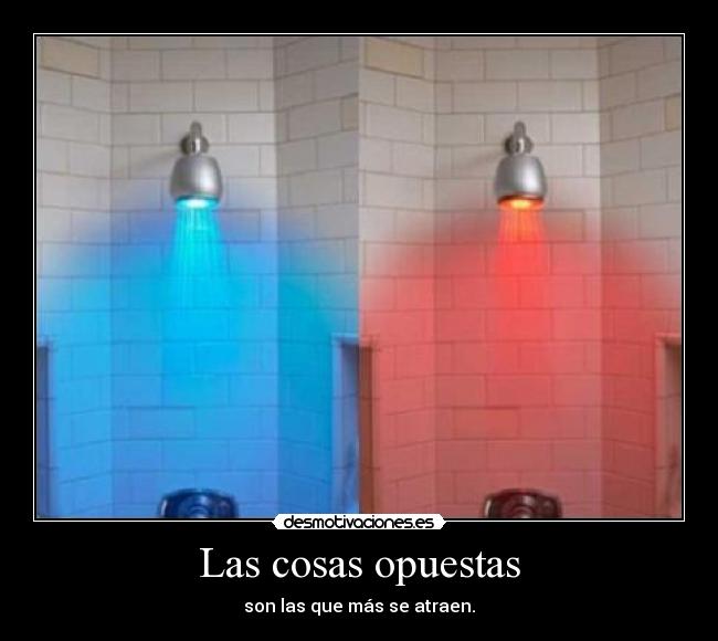 Las cosas opuestas - 