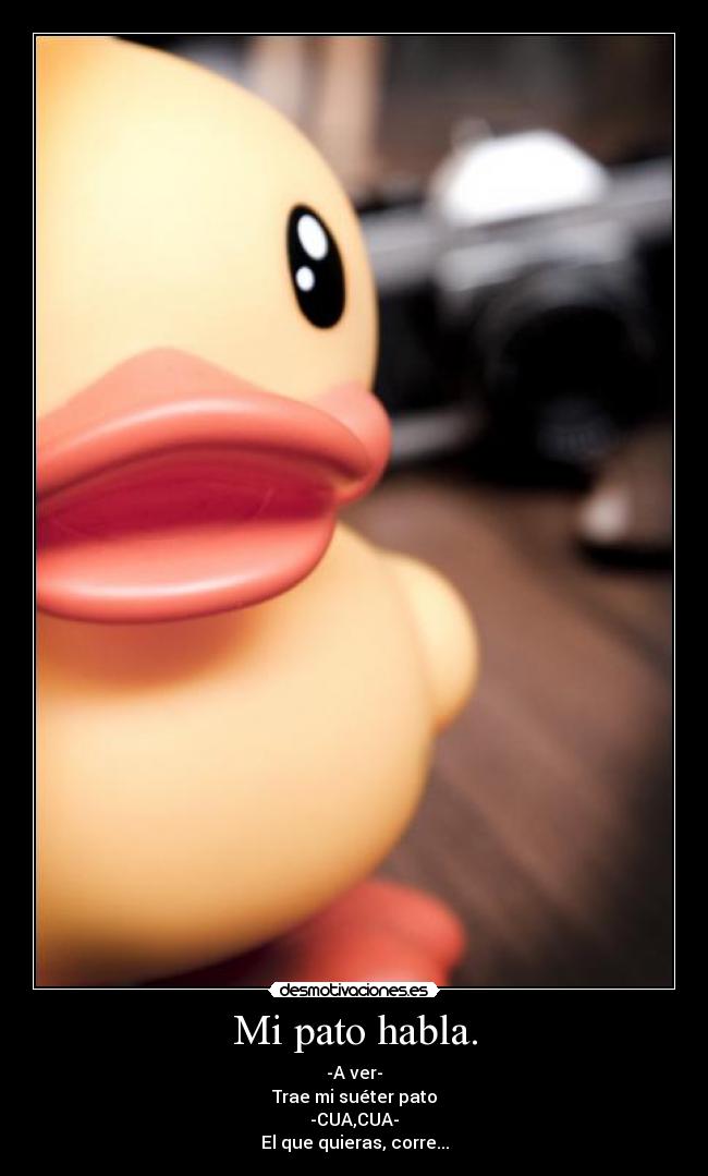 carteles patos desmotivaciones