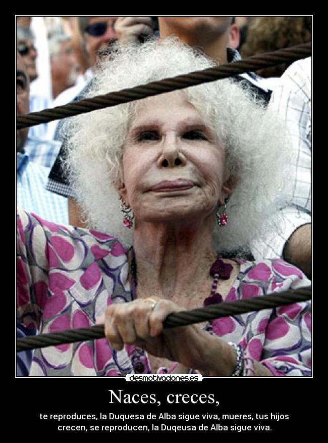 Naces, creces, - te reproduces, la Duquesa de Alba sigue viva, mueres, tus hijos
crecen, se reproducen, la Duqeusa de Alba sigue viva.