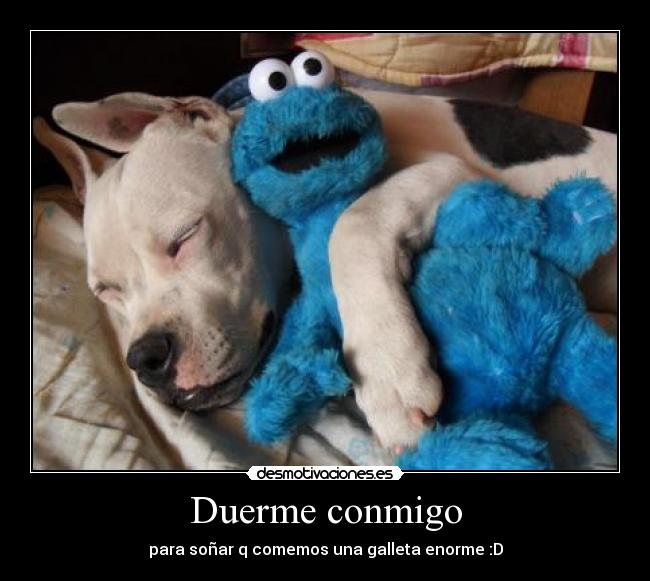 Duerme conmigo - para soñar q comemos una galleta enorme :D