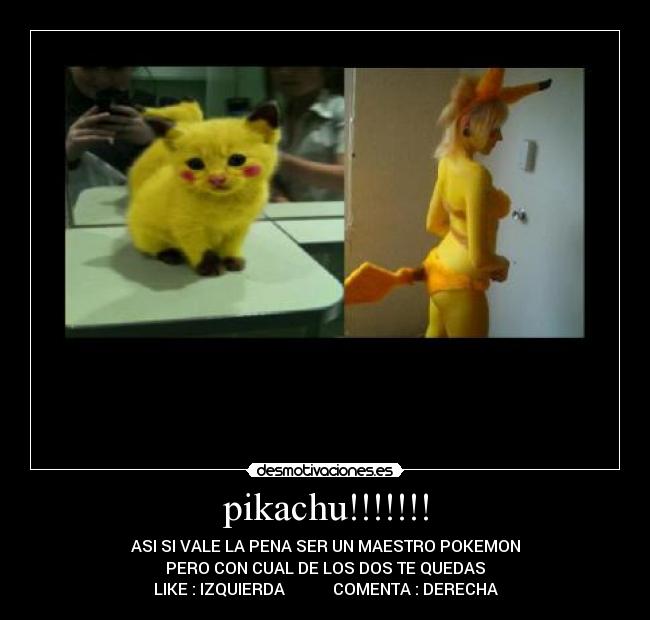 pikachu!!!!!!! - ASI SI VALE LA PENA SER UN MAESTRO POKEMON
PERO CON CUAL DE LOS DOS TE QUEDAS
LIKE : IZQUIERDA COMENTA : DERECHA