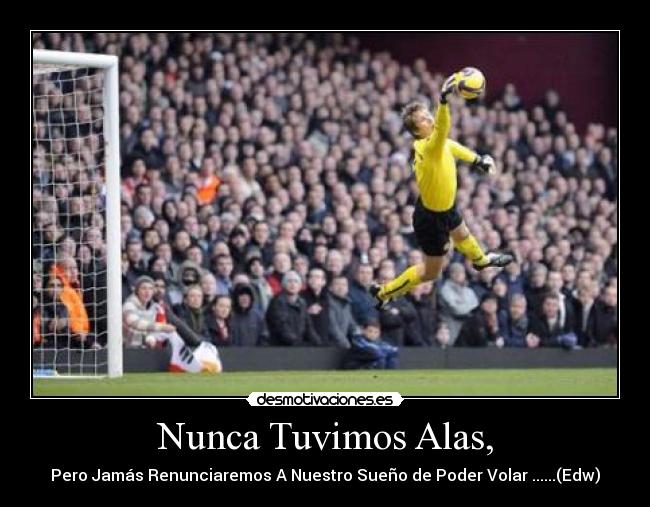 carteles porteros futbol van der sar desmotivaciones