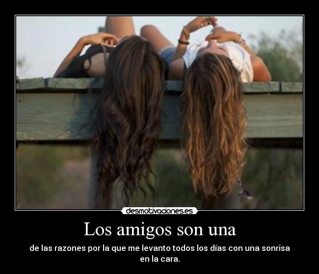 Los amigos son una -